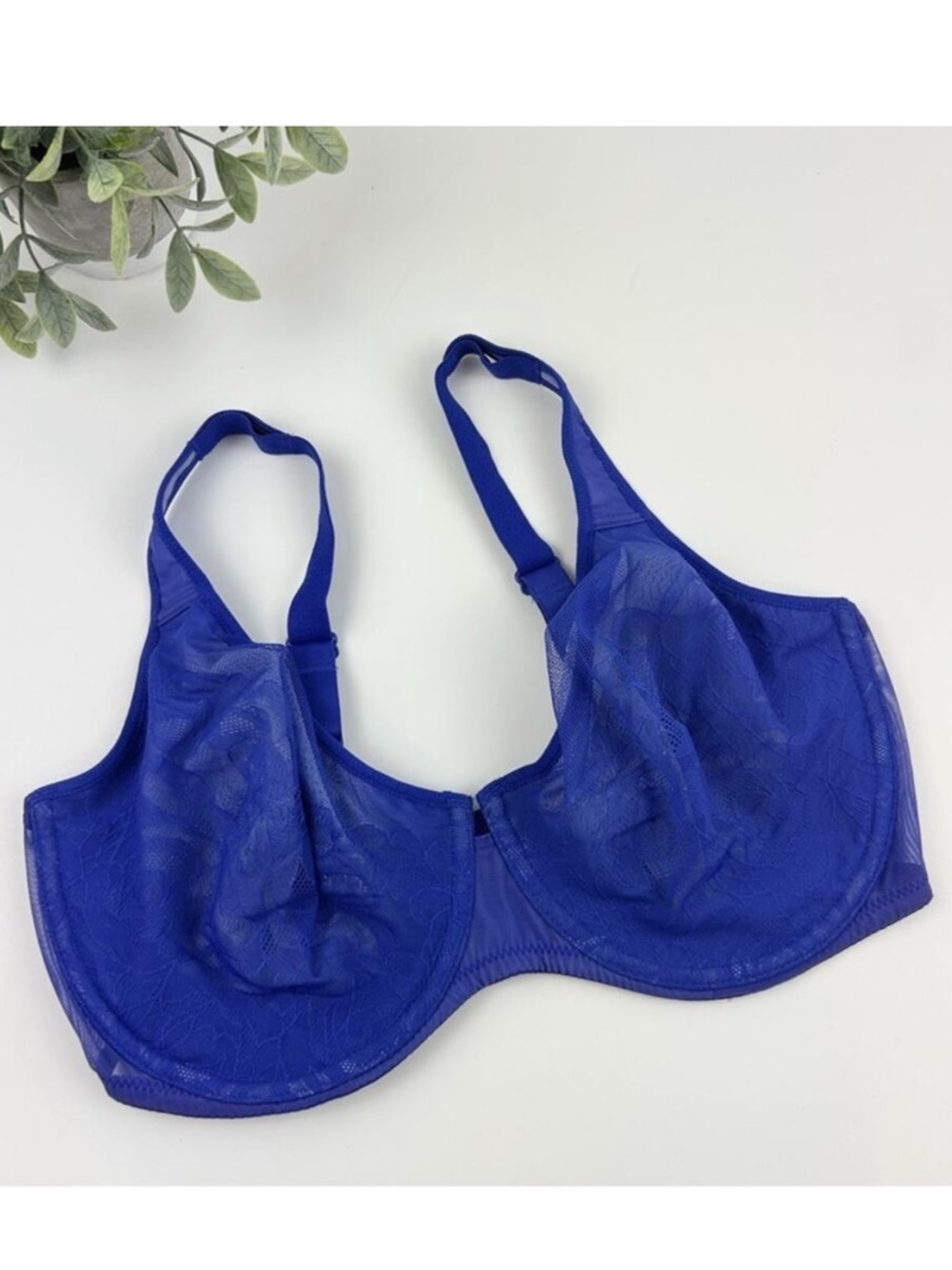 Wacoal Stark Beauty Rose-Lace Molded Underwire Bra 855225 Blue Size 36DD
